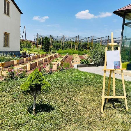 Green Training Center Dzoraghp'yur Bagian luar foto